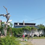 phoca_thumb_m_mdd zajci 16 Fotogalerie